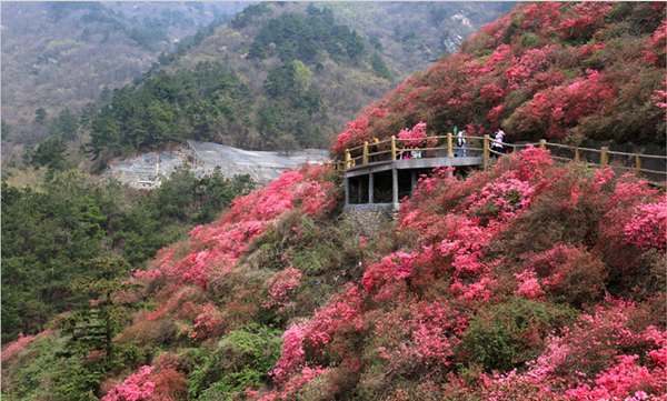 解读全域旅游，发展旅游经济