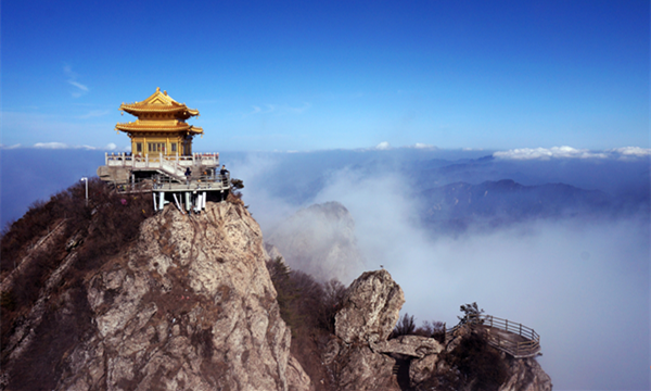 æºæ§ææ¸¸ï¼é©´è¿¹å¯¼æ¸¸ï¼é©´è¿¹ç§æï¼æºæ§å¯¼è§